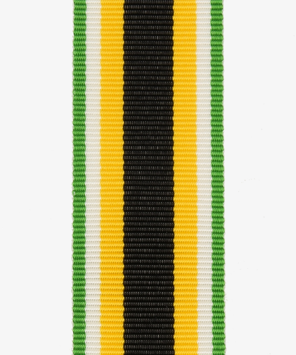 Saxony-Meiningen, medal of honor for services in the war, non-combat ribbon (267)
